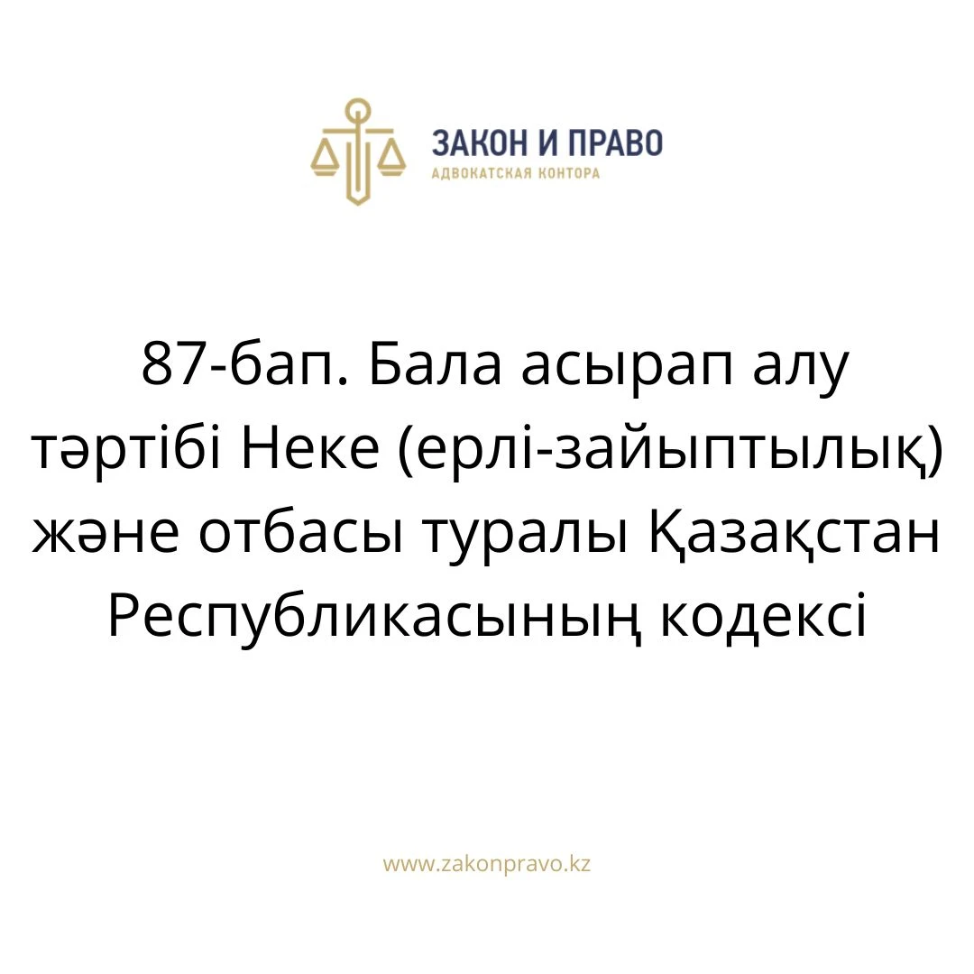 АMANAT партиясы және Заң және Құқық адвокаттық кеңсесінің серіктестігі аясында елге тегін заң көмегі көрсетілді